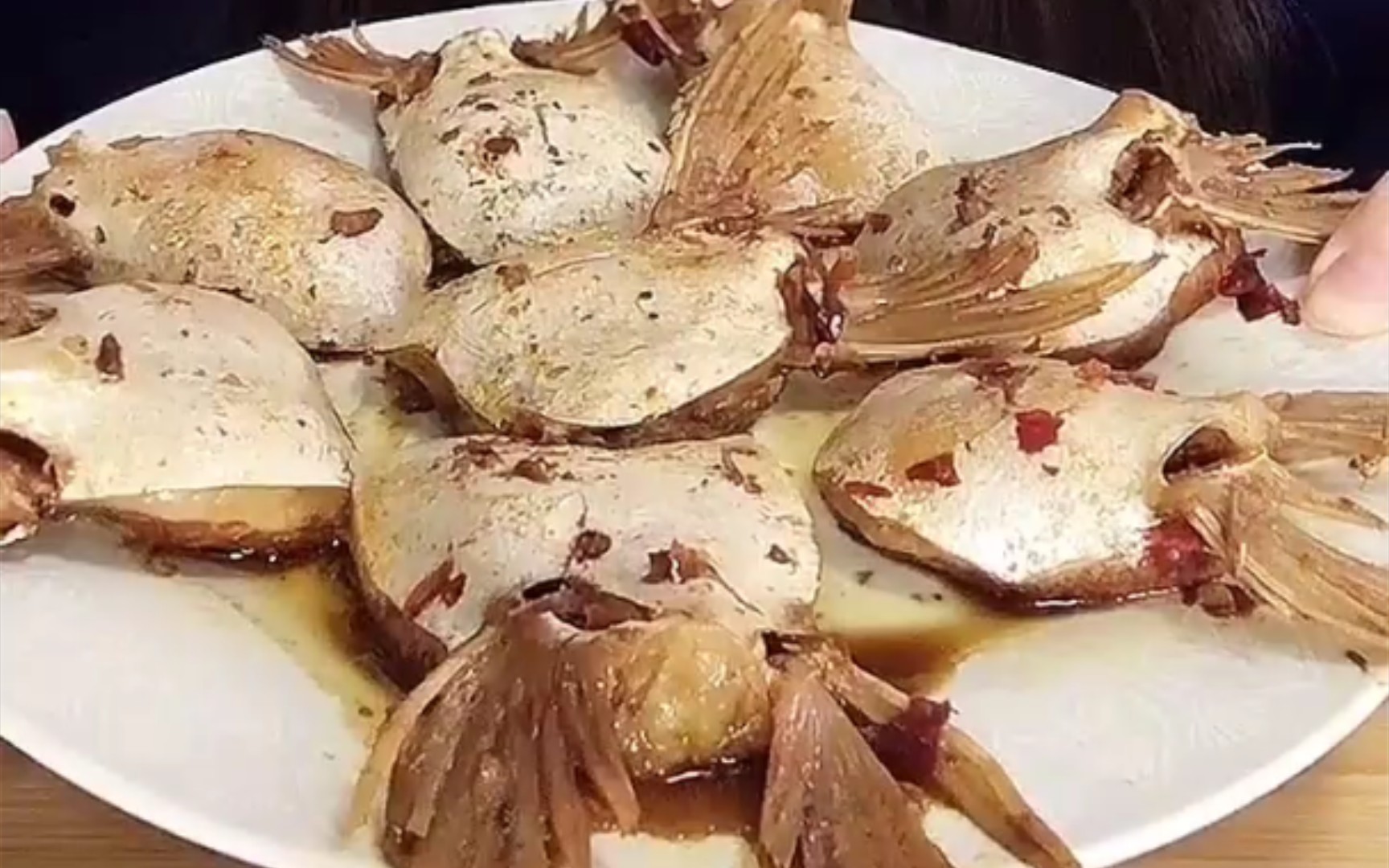 鱼油鱼下巴合集快手搬运