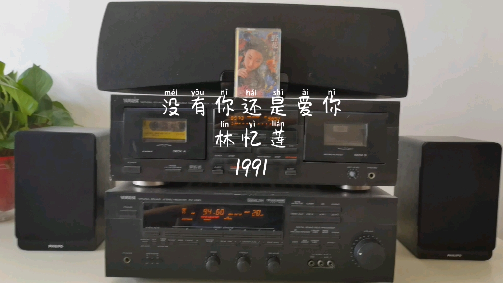 [图]“说不出这一霎自然”《没有你还是爱你》林忆莲 1991