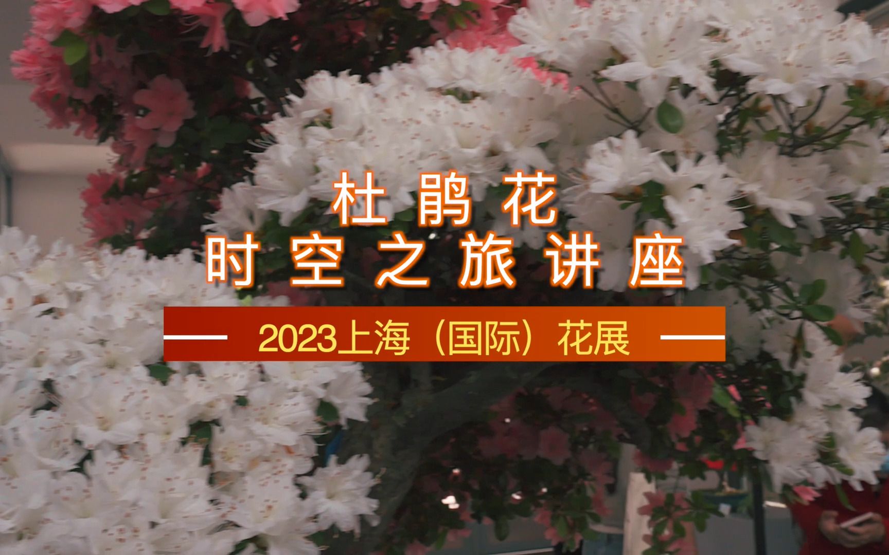 [图]“杜鹃花时空之旅” 系列科普讲座