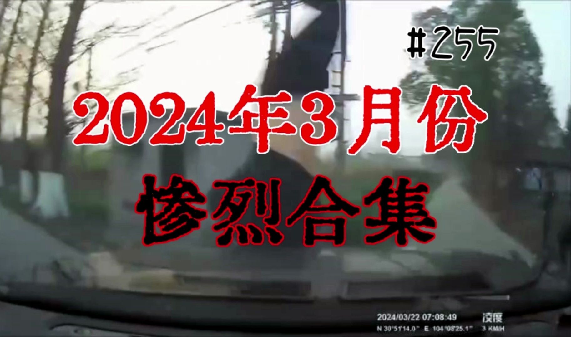 [图]2024年3月交通车祸事故惨烈合集【255期】