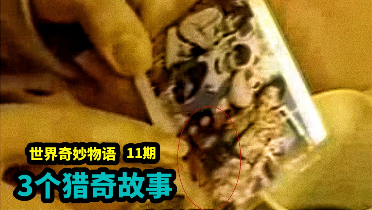 3个猎奇小故事!游玩时拍出灵异照片,2天内闺蜜3人全部死亡哔哩哔哩bilibili