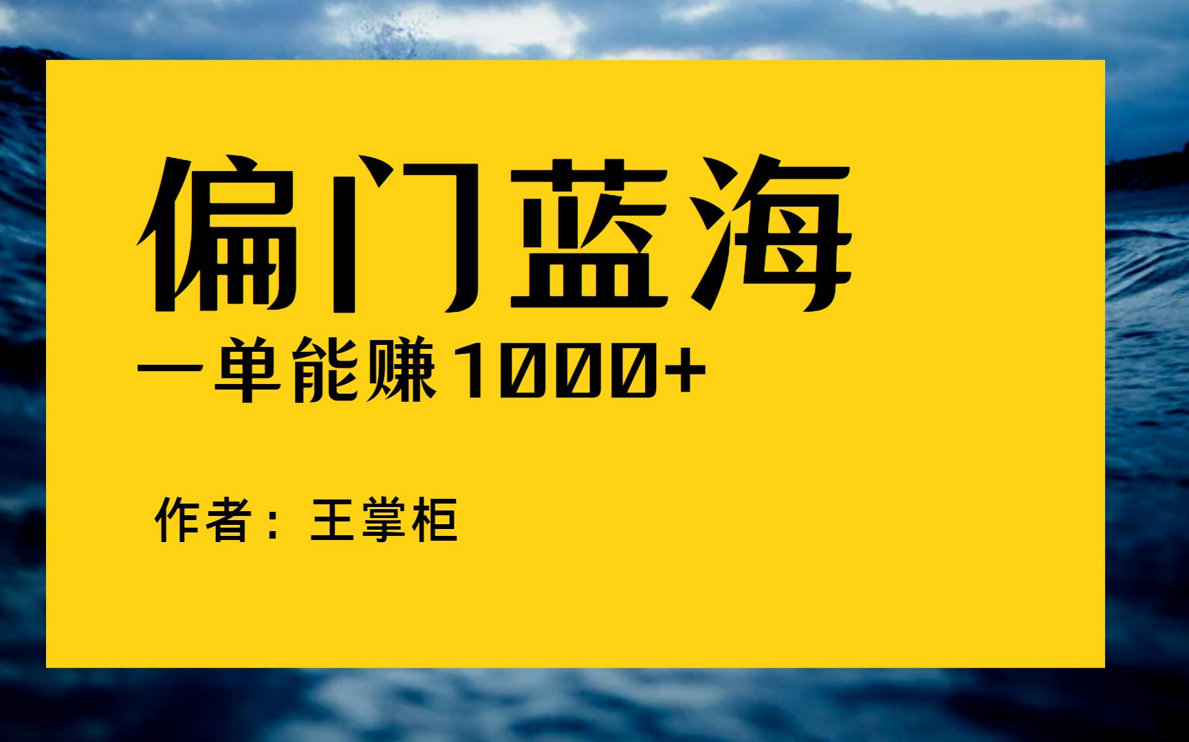 冷门蓝海 偏门野路子 小项目 一单能赚1000+哔哩哔哩bilibili