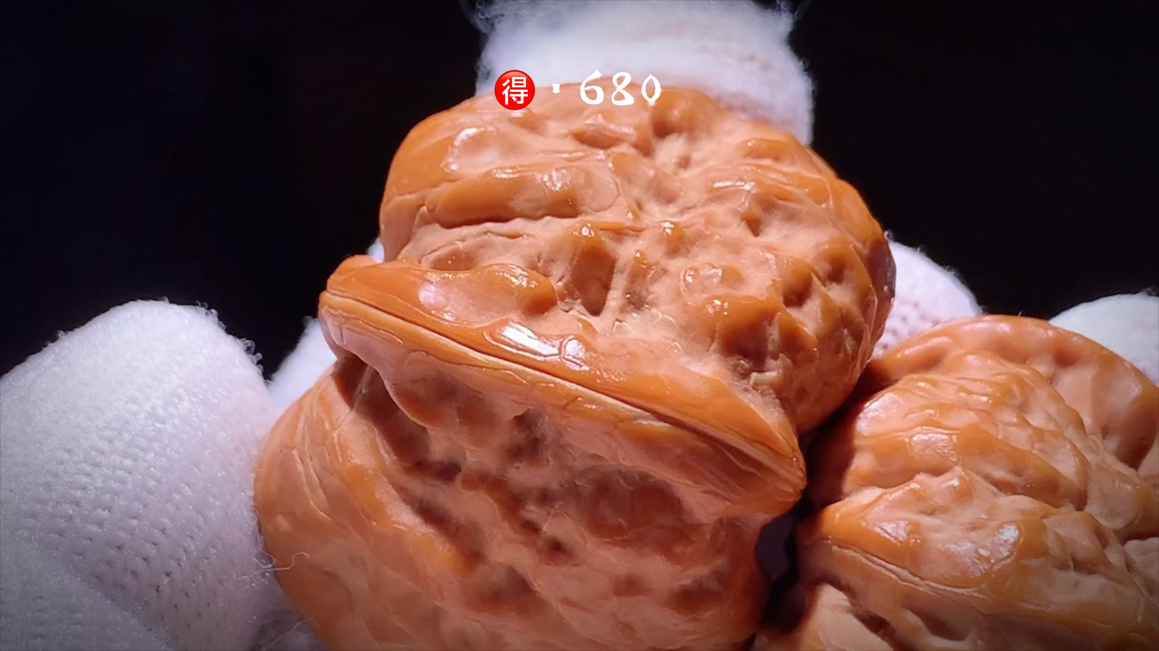 红皮昌蛙蛤蟆头·油性足 ·三维:40701540701530,#核桃届
