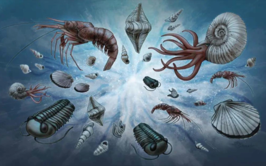 寒武纪光怪陆离的冷门生物的复原图