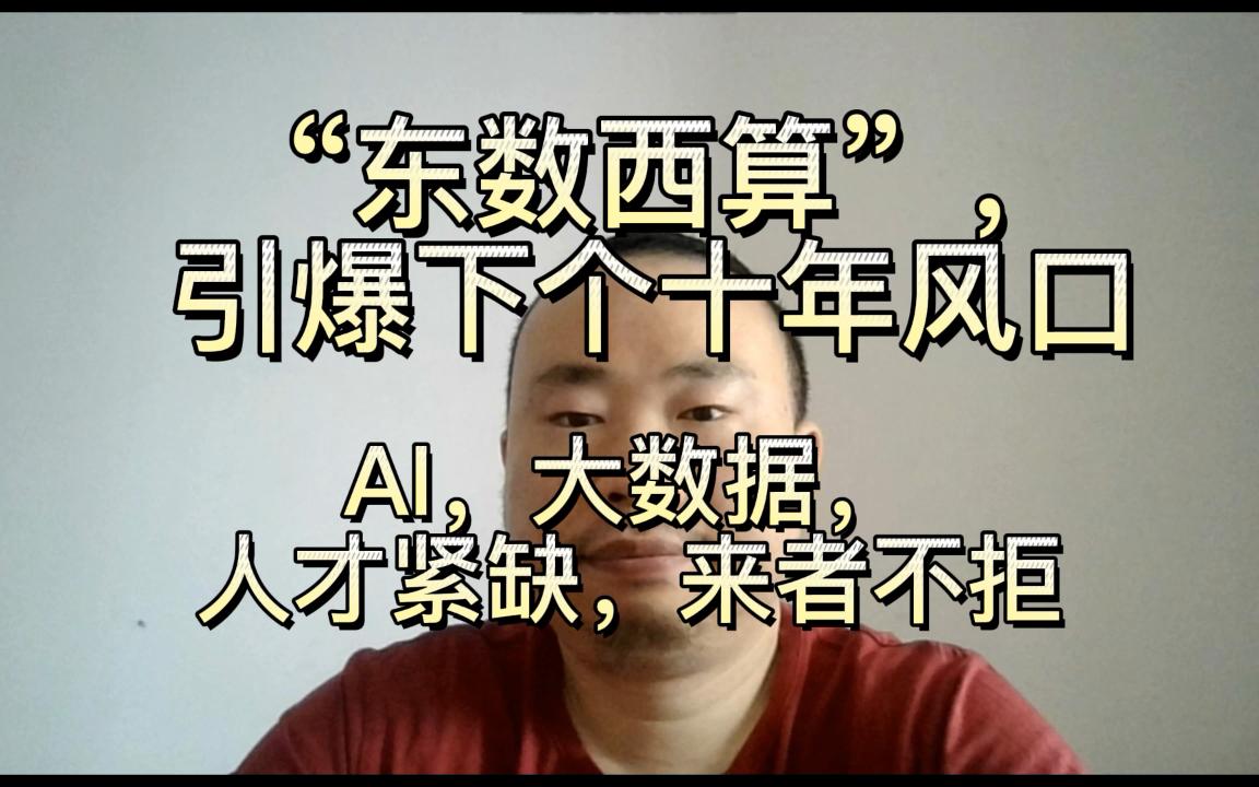 “东数西算”,引爆下个十年风口,AI,大数据,人才紧缺,来者不拒哔哩哔哩bilibili