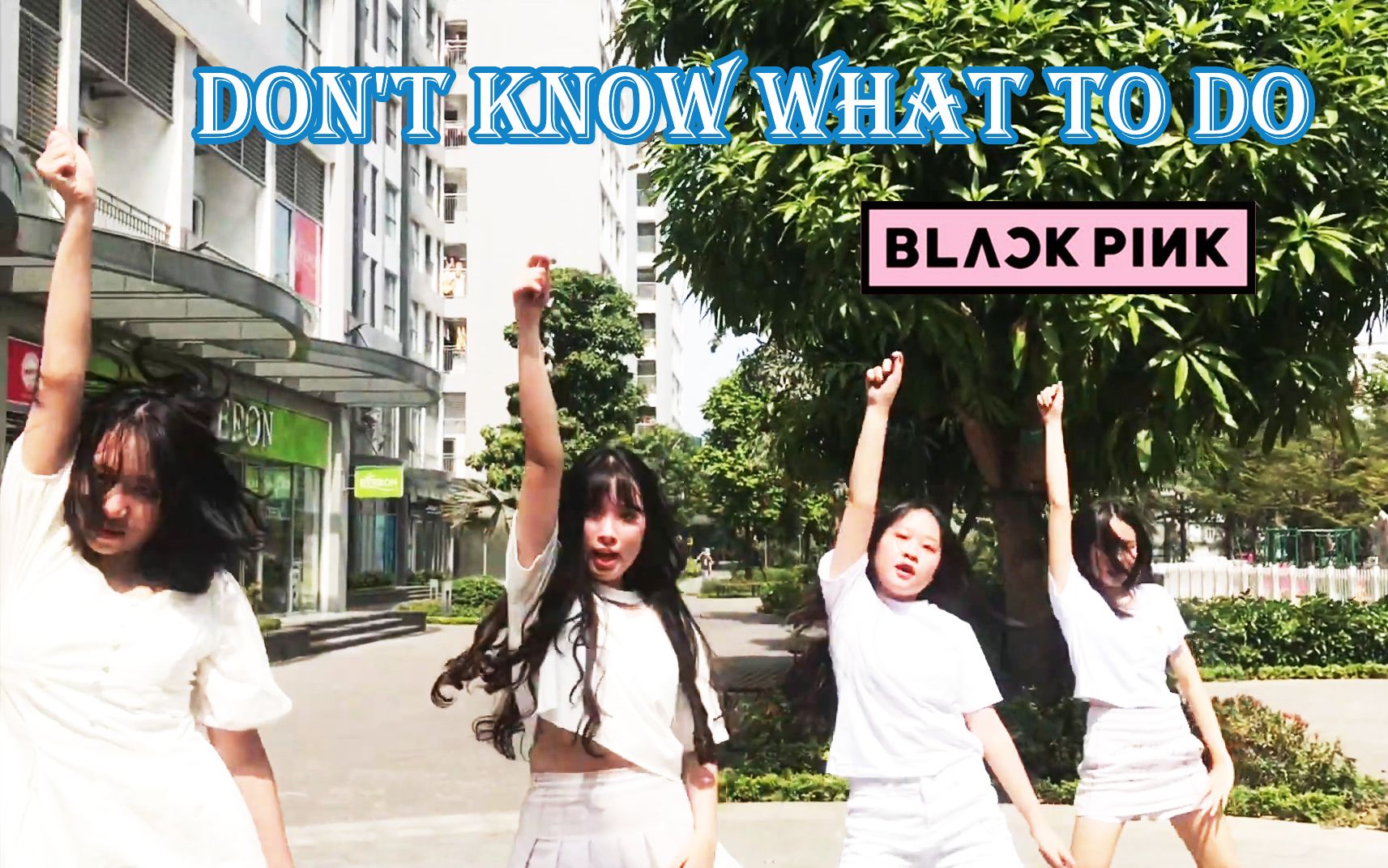 [图]【BLACKPINK】越南舞团翻跳 Don't Know What To Do，举起你的手，秀出粉墨的美……