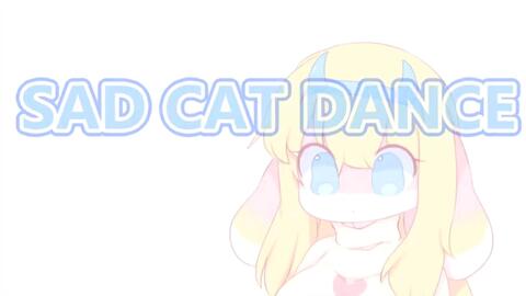 Sad Cat Dance Meme_哔哩哔哩_bilibili