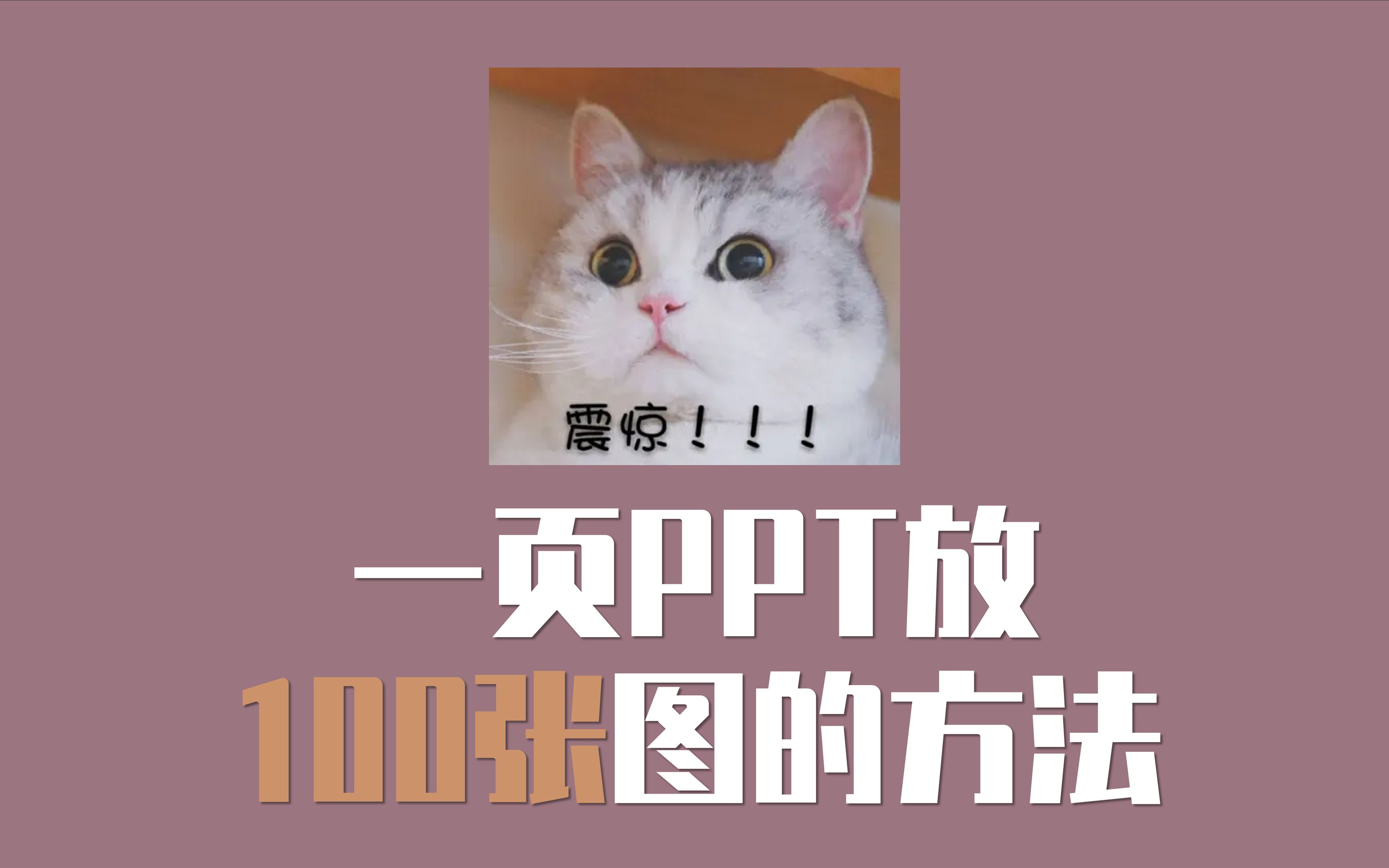 【PPT教程】PPT图片太多?一个动画100张图片也放得下哔哩哔哩bilibili