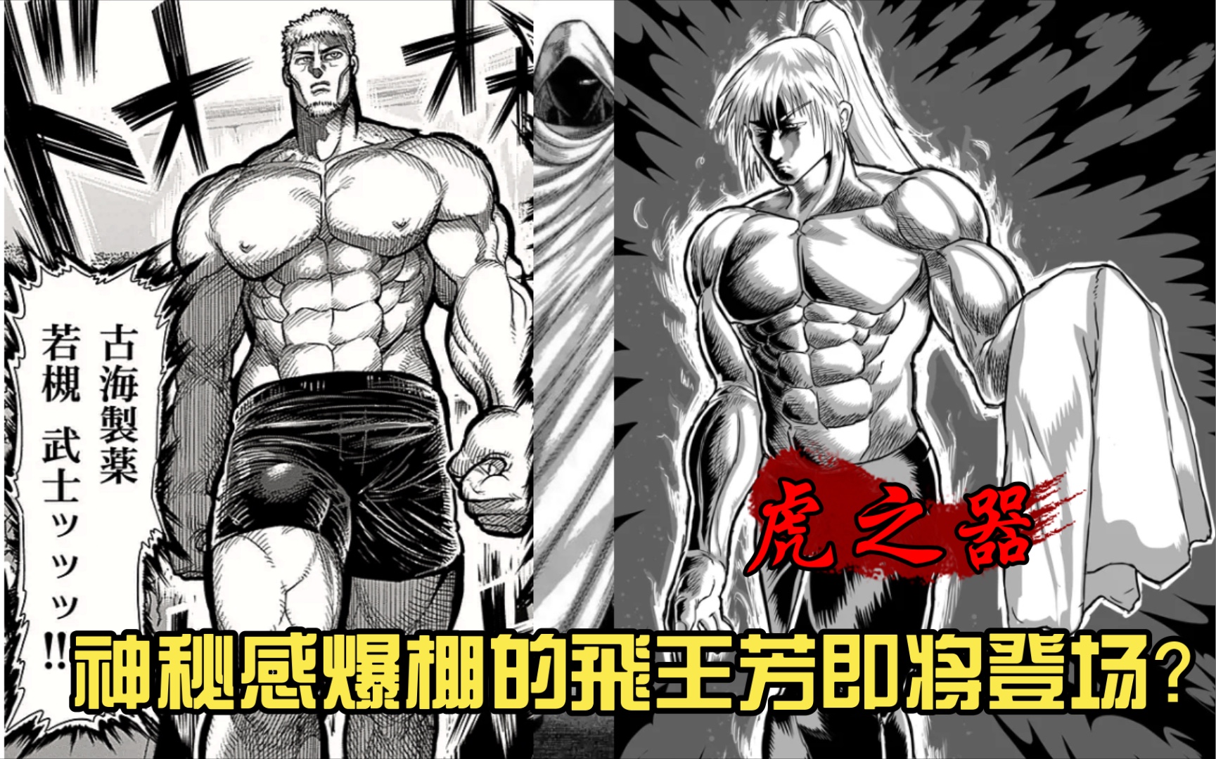 【拳愿奥米迦】神秘感爆棚的飛王芳即将登场?提前预热的小飛
