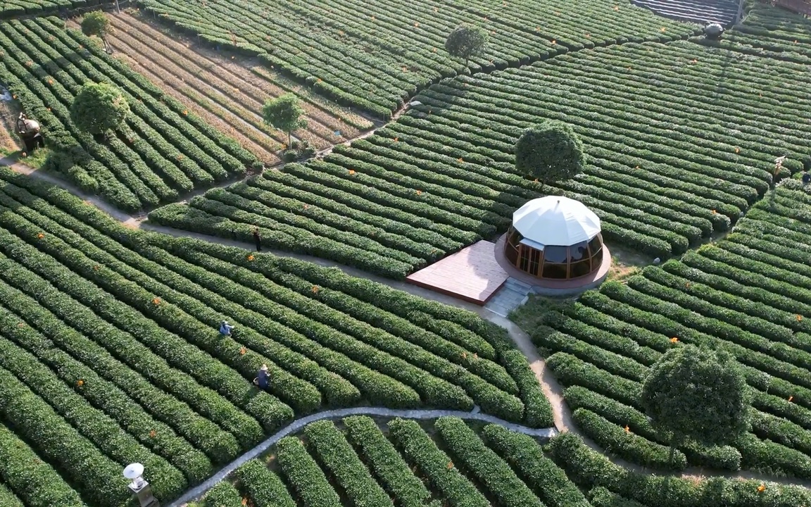 江西遂川:汤湖神茶谷
