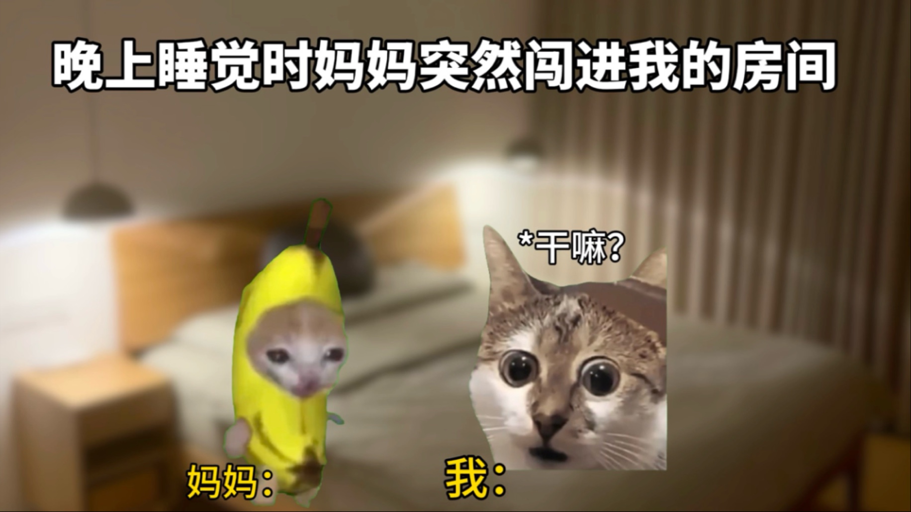 晚上睡觉妈妈突然闯进我房间-猫meme小剧场江笑笑-猫meme小剧场江笑笑-哔哩哔哩视频