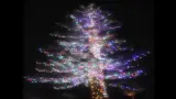 snowscape / 落合祐里香 snowscape』（落合祐里香）