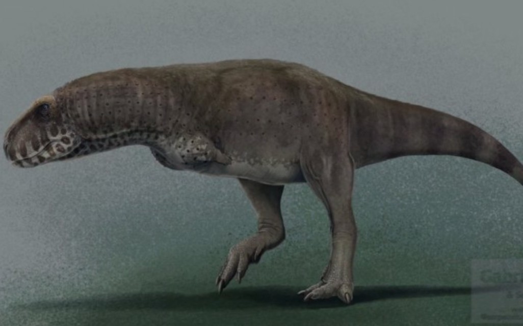 阿马加龙的寄日