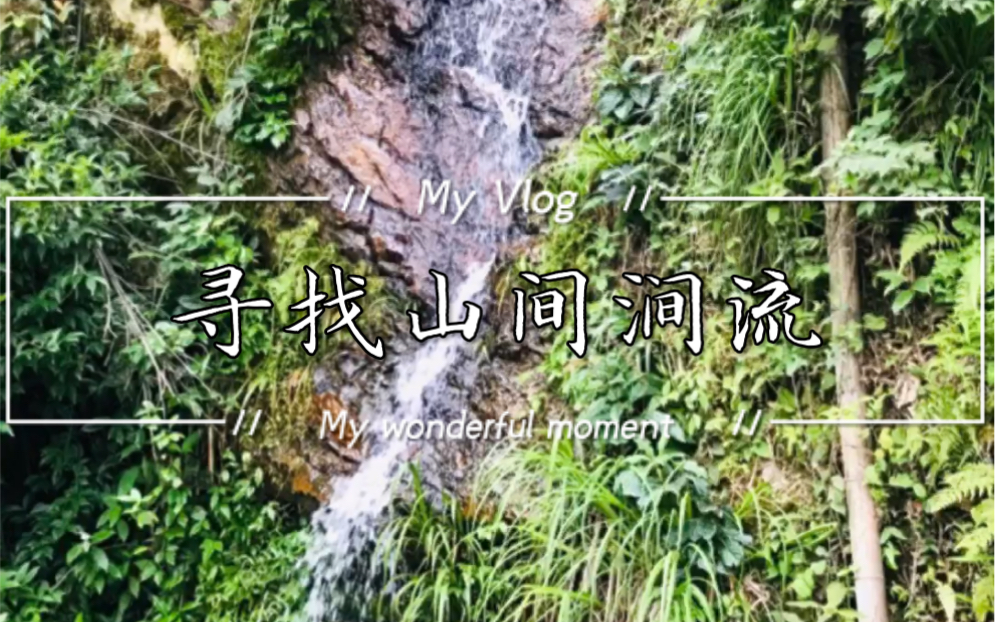 [图]端午vlog||亲近自然之山间涧流篇 自然环境音 竹林涧流自然植物记录