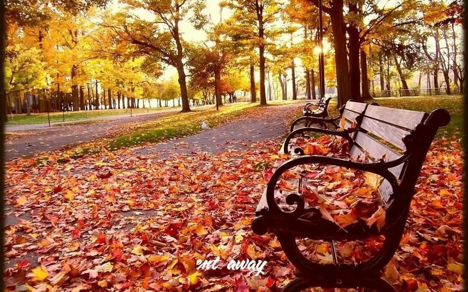 [图]Autumn Leaves - Andy Williams