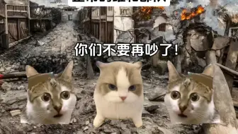 兔子对维和的理解