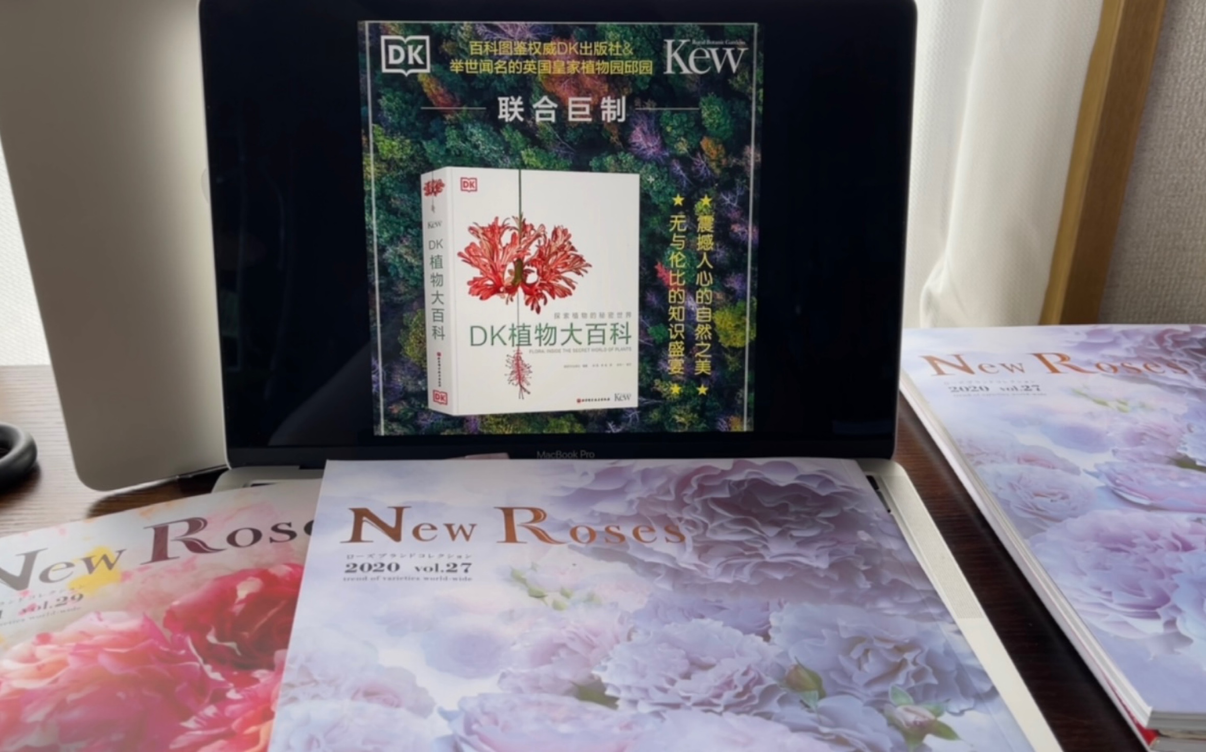 [图]【抽奖啦】福利大放送—DK植物大百科、New Roses、月季苗｜各月季育种公司产品图册介绍