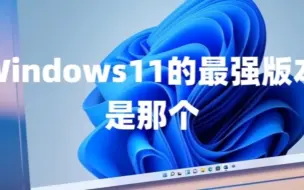 Download Video: Windows11的最强版本是Win11 23H2官方正式版+Win11系统永久激活密钥