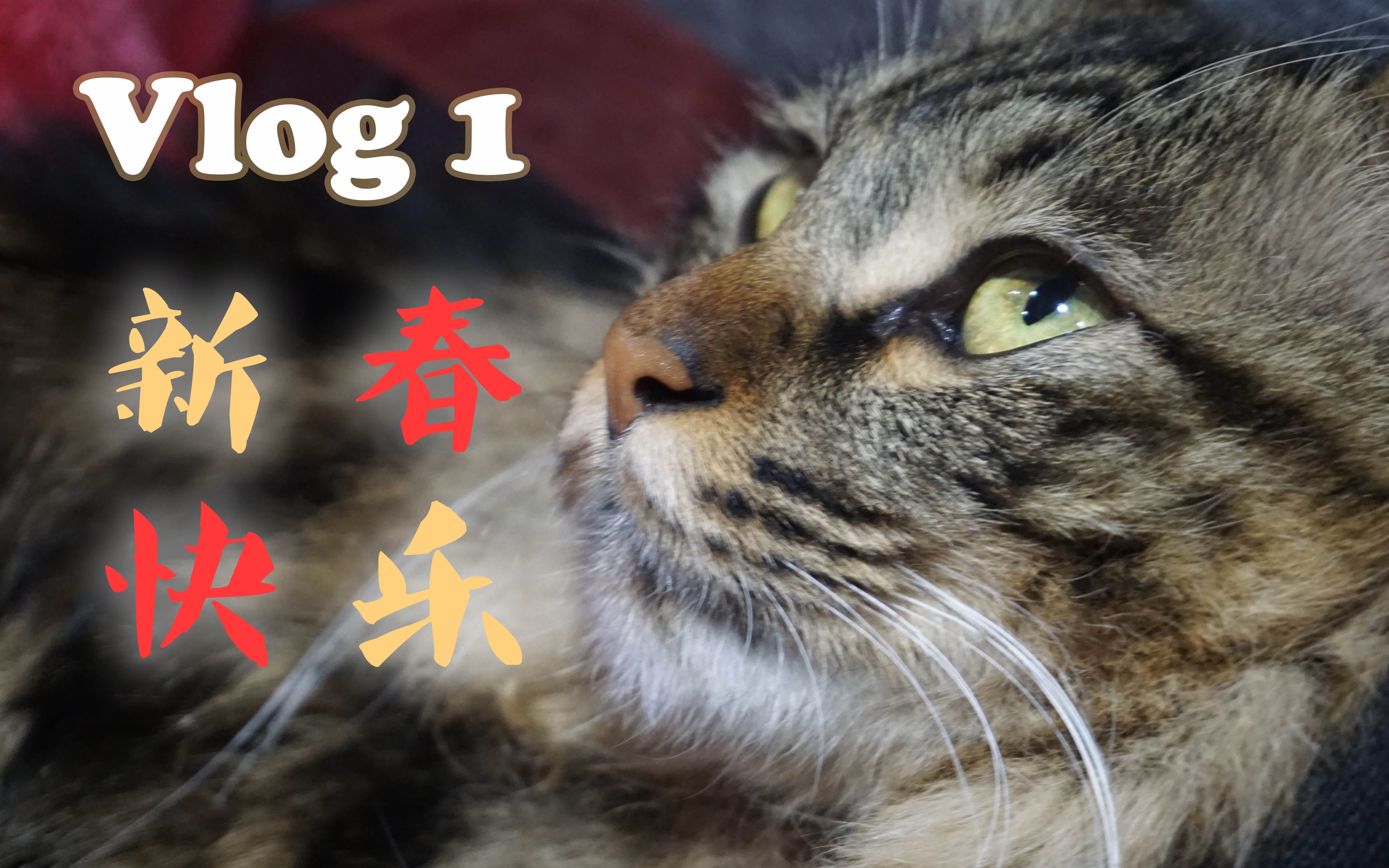 【初投】vlog001 | 给您拜个晚年,用来吸猫的狗年