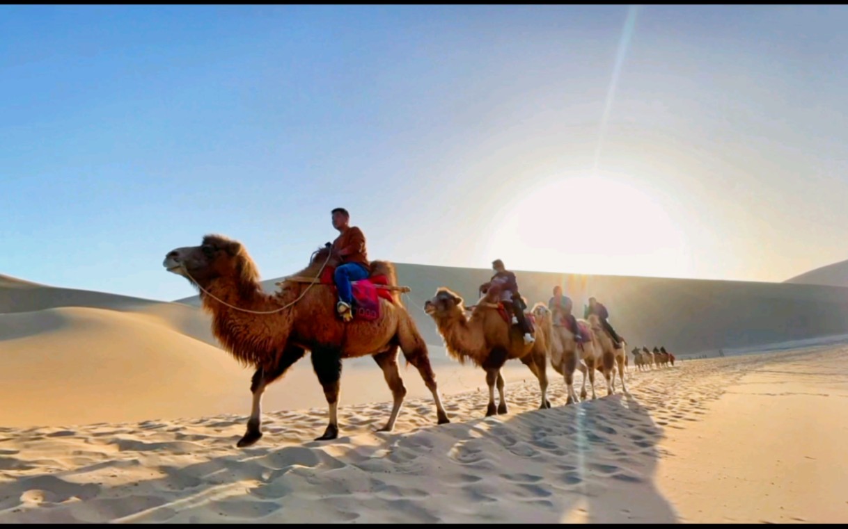 丝绸之路上的驼队,顺便带娃骑骆驼.