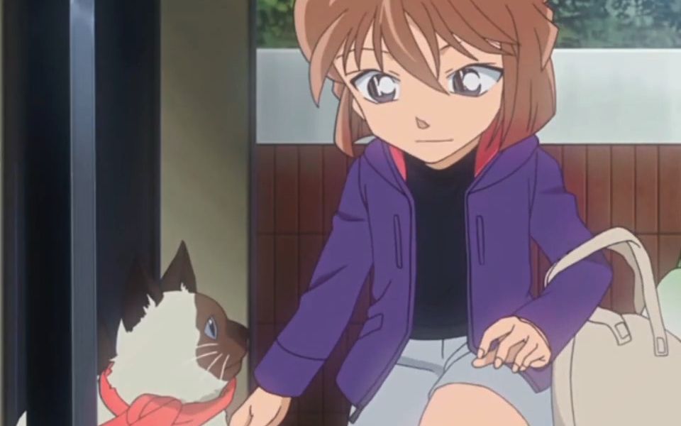 每次看见小猫小哀都笑得很开心#名侦探柯南 #灰原哀