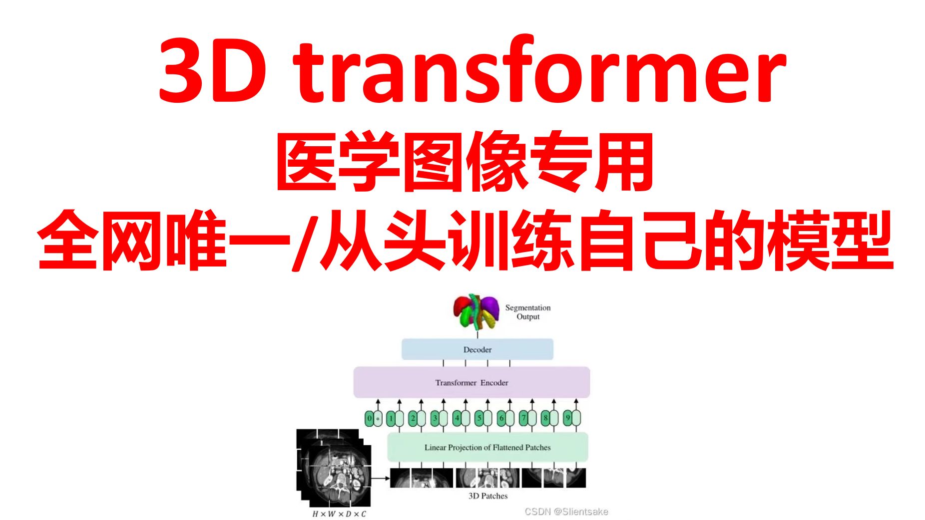 3D transformer全网唯一+3D医学图像专用+可从头训练自己的模型哔哩哔哩bilibili