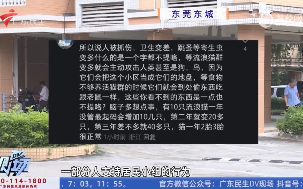 【粤语新闻】东莞东城:村小组突然发布扑杀流浪猫狗通知引争议哔哩哔哩bilibili