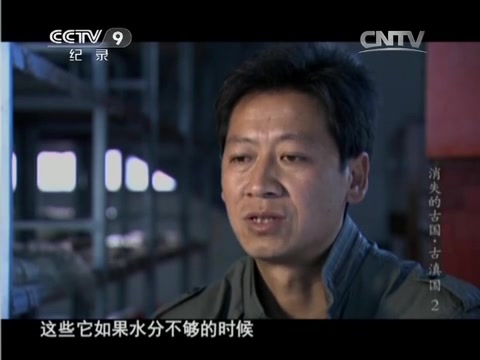 央视 :消失的古国 (2014 )全集 720P哔哩哔哩bilibili