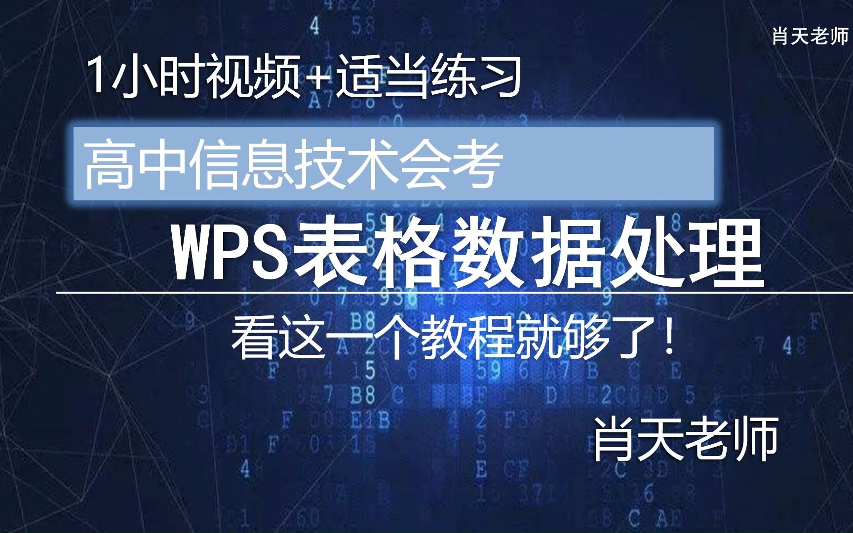 【信息技术会考】WPS表格数据处理,看这一个就够了!哔哩哔哩bilibili