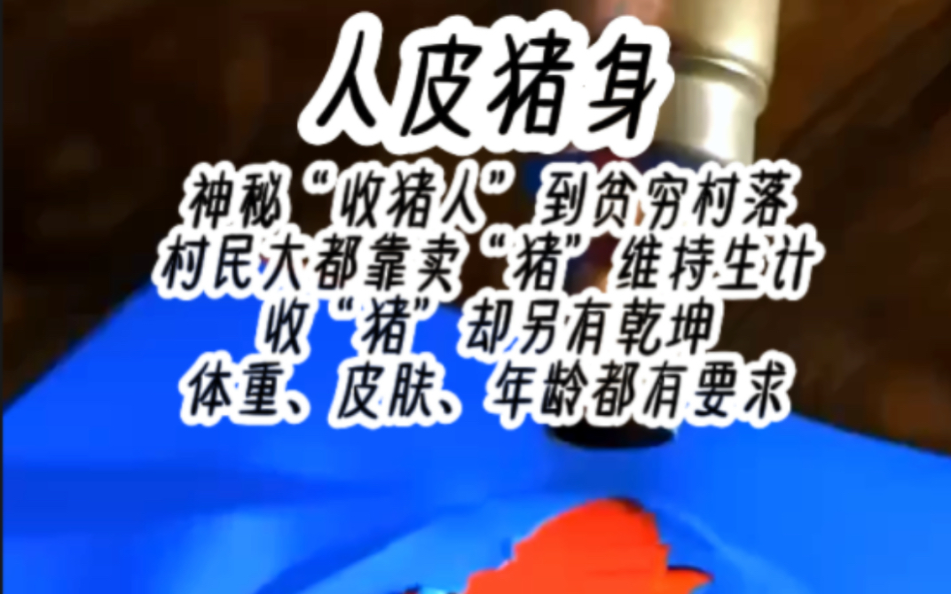 神秘"收猪人"到贫穷村落村民大都靠卖"猪"维持生计收"