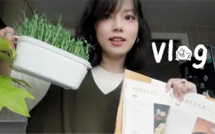 Tải video: VLOG/在家种菜｜一周实现芽苗菜自由｜去朋友家捏陶瓷｜好吃的柠香猪肉白菜锅