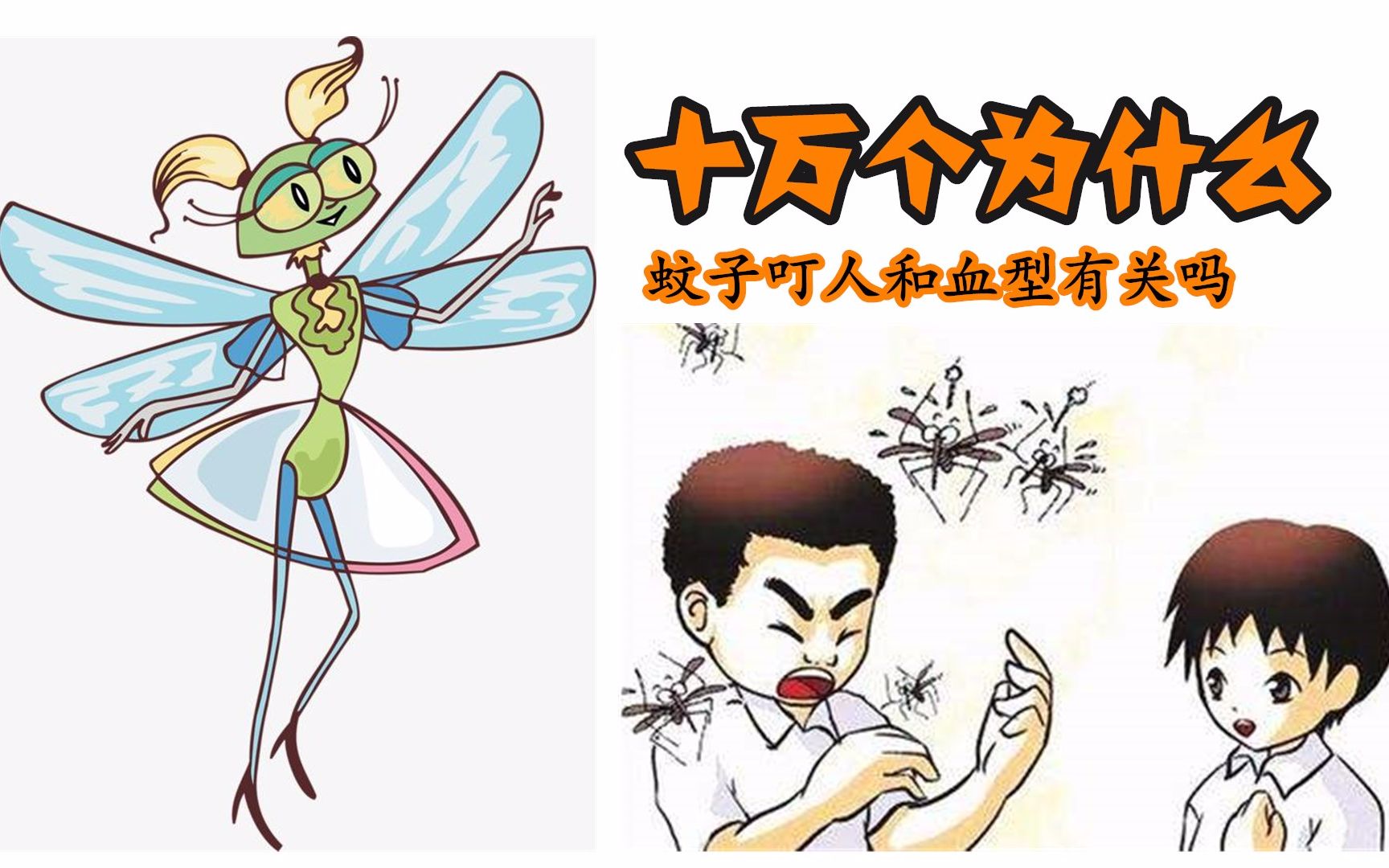 活动作品十万个为什么蚊子叮人会不会和血型有关