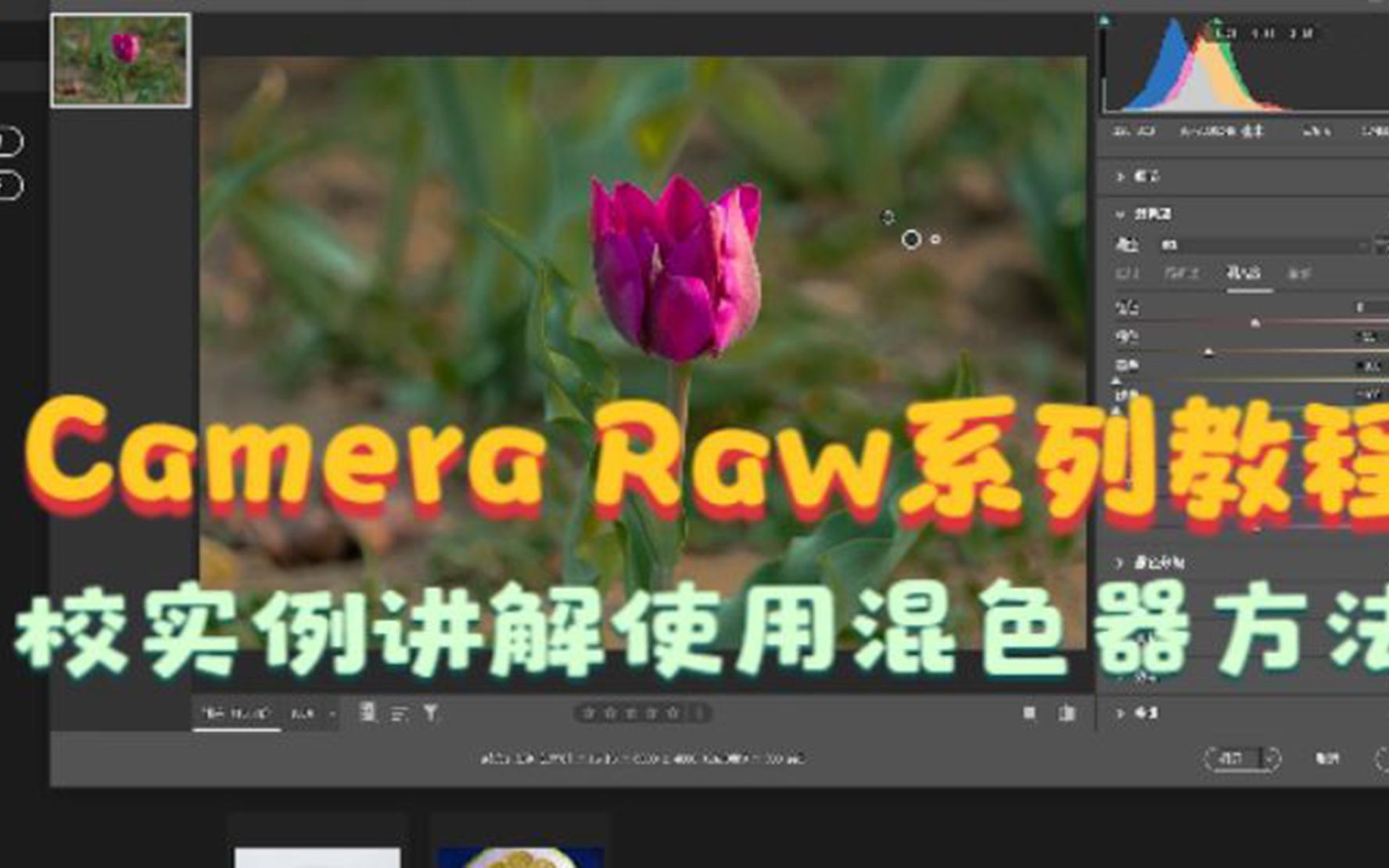 Camera Raw系列教程,混色器面板功能使用,实例讲解使用混色器方法哔哩哔哩bilibili