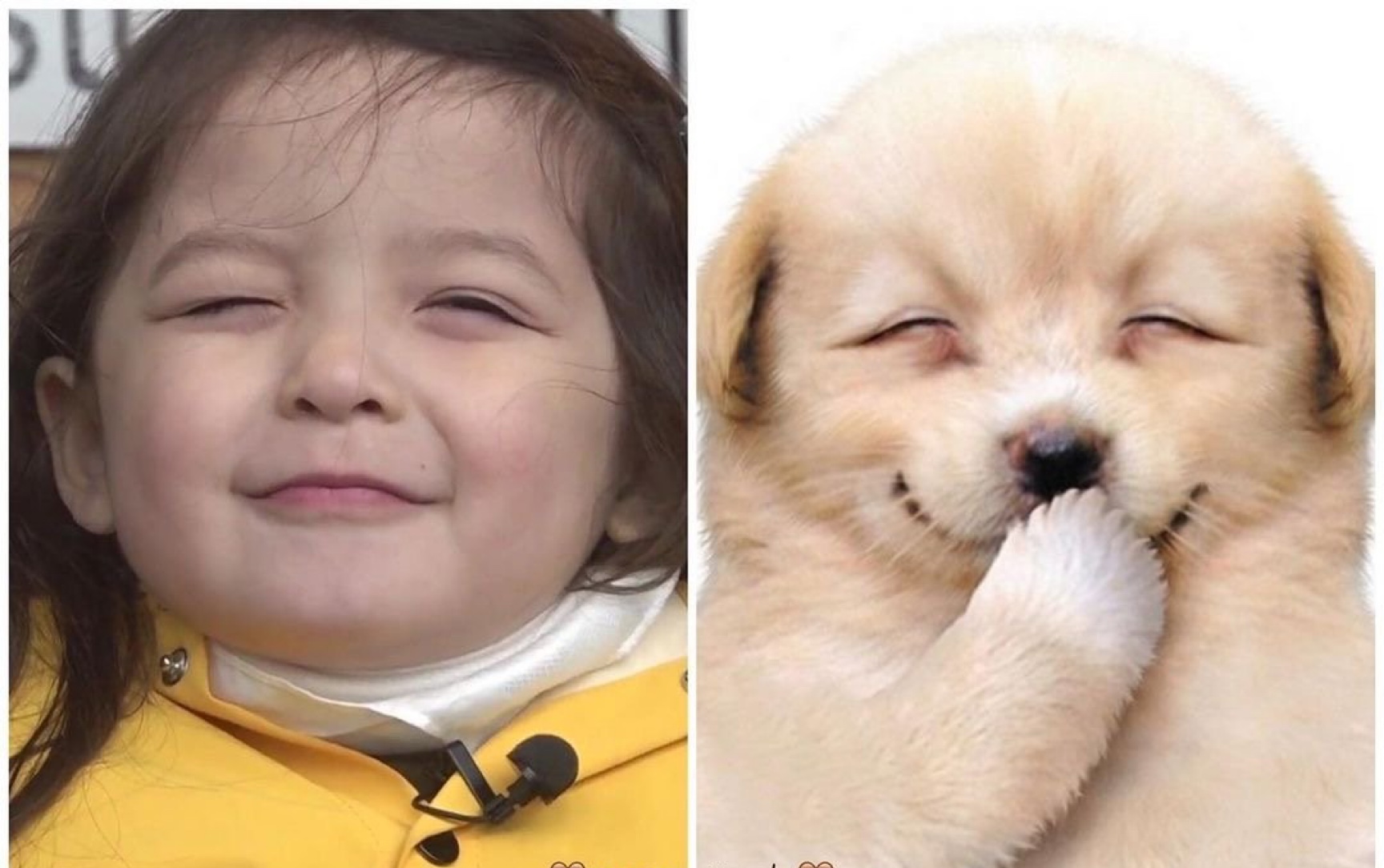 朴娜恩朴建厚论掌握一门外语的重要性第一弹语言天才娜恩尼和日常听不
