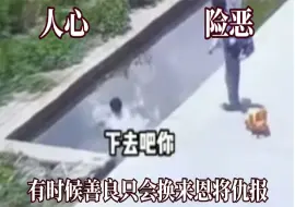 Download Video: 大家不敢多管闲事的原因！善良换来的不是感激，永远不要低估人性