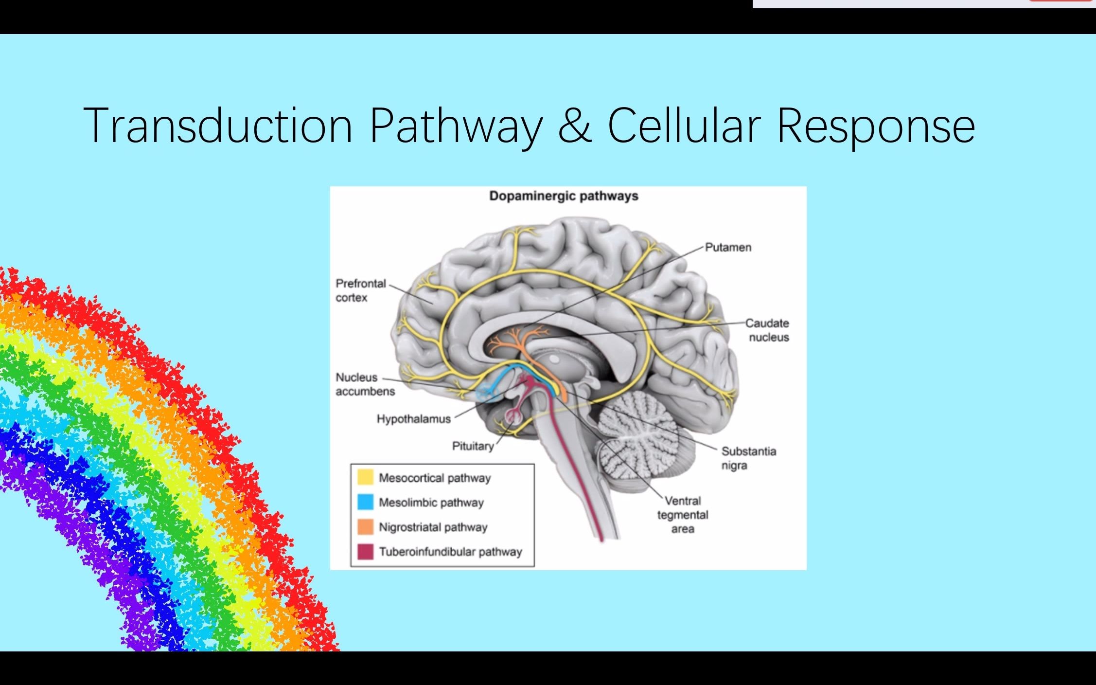 [图]Dopamine(biekan)