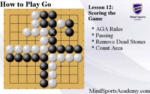 【围棋英文教程】14How to Score the Game  How to Play Go哔哩哔哩bilibili