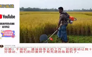 Download Video: 印度博主使用中国割草机收稻谷，各国网友看懵了：真是才华出众啊