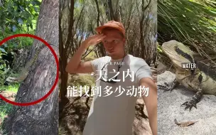 下载视频: 在澳洲，挑战看看一天之内能找到多少种野生动物