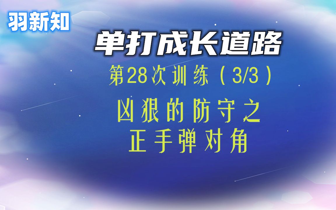 羽新知学员羽毛球单打成长道路:第28次训练(3/3)哔哩哔哩bilibili