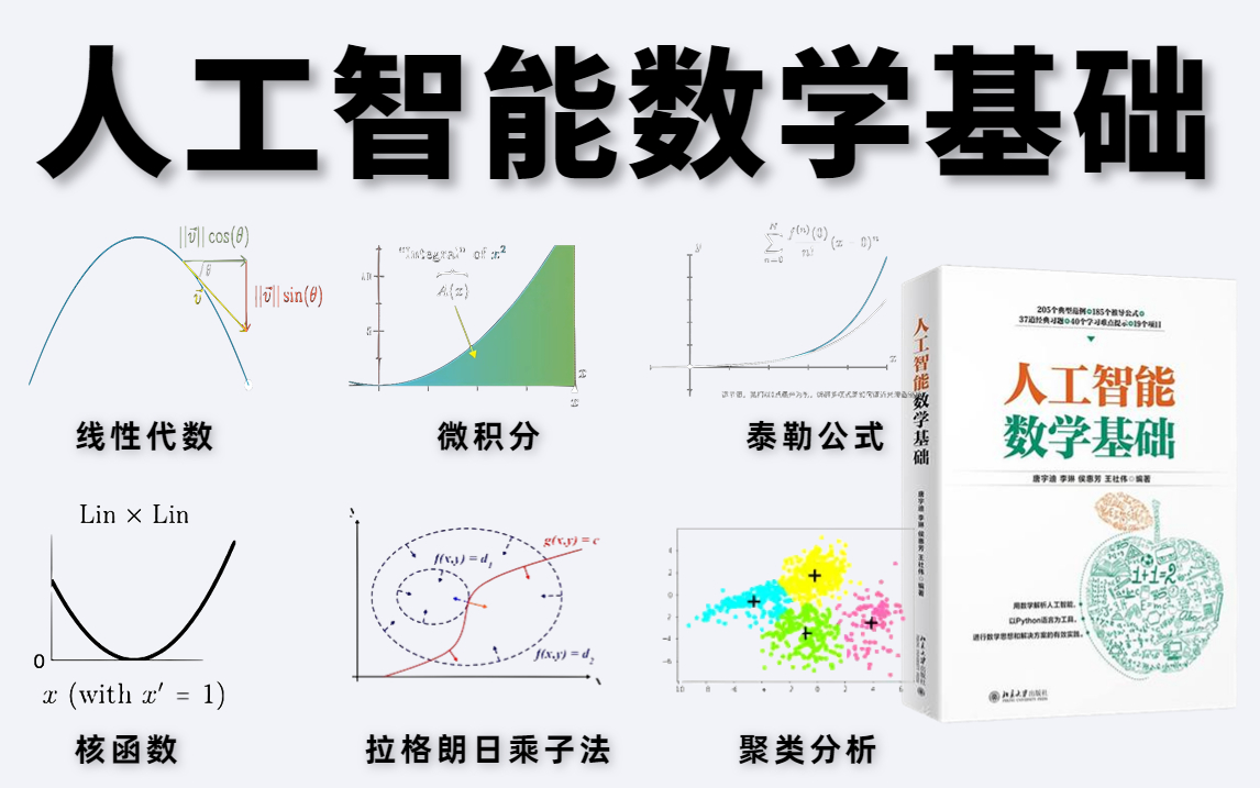 [图]【附配套教材】迪哥著作《人工智能数学基础》视频教程！线性代数、核函数、微积分、概率论、泰勒公式、拉格朗日等人工智能必备数学基础一口气学完！