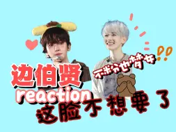 Descargar video: 【reaction】边伯贤 不粉但是梦女过这算什么个事呀，太羞耻了！！！