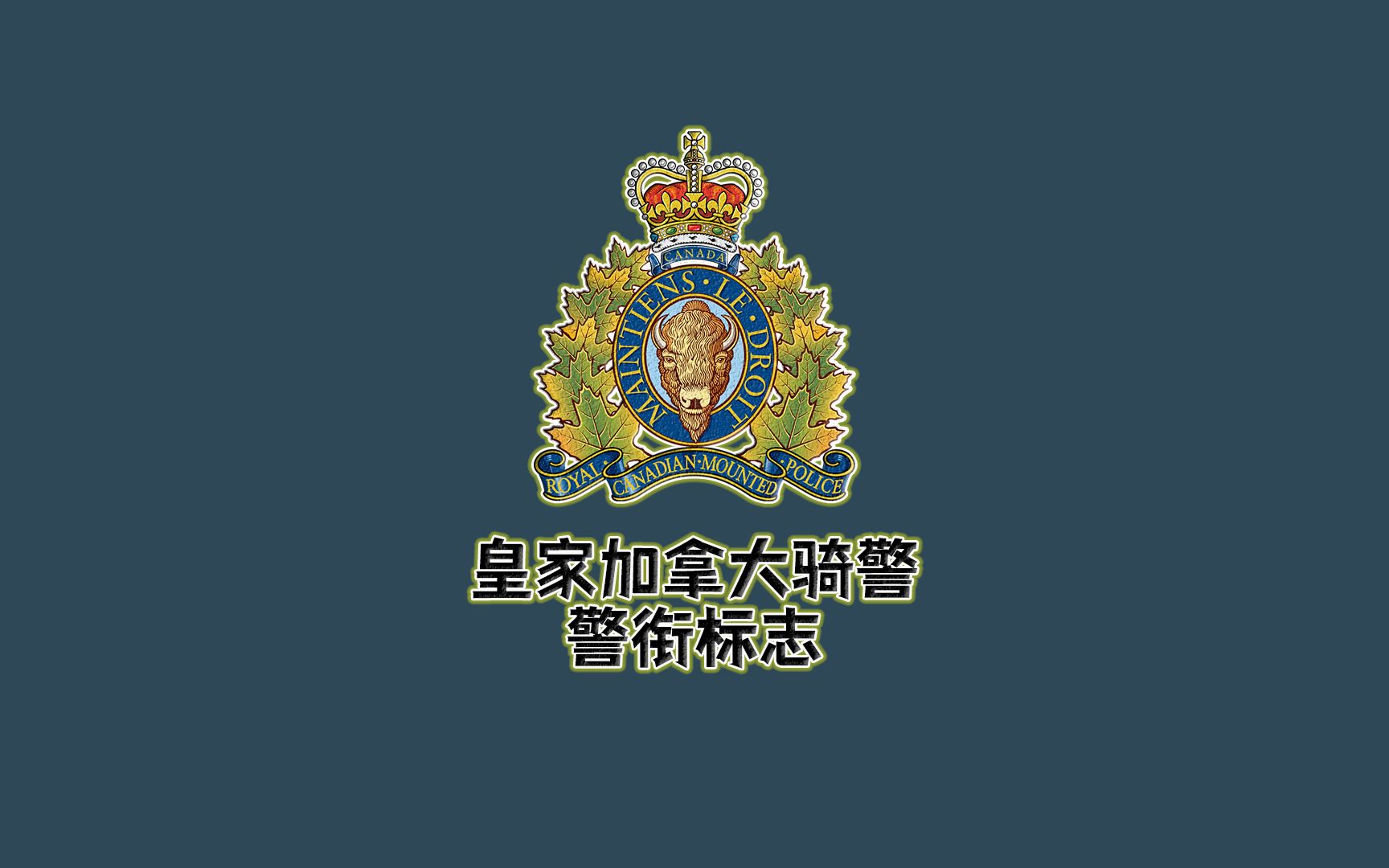 世界各地警察警衔标志:皇家加拿大骑警警衔标志哔哩哔哩bilibili