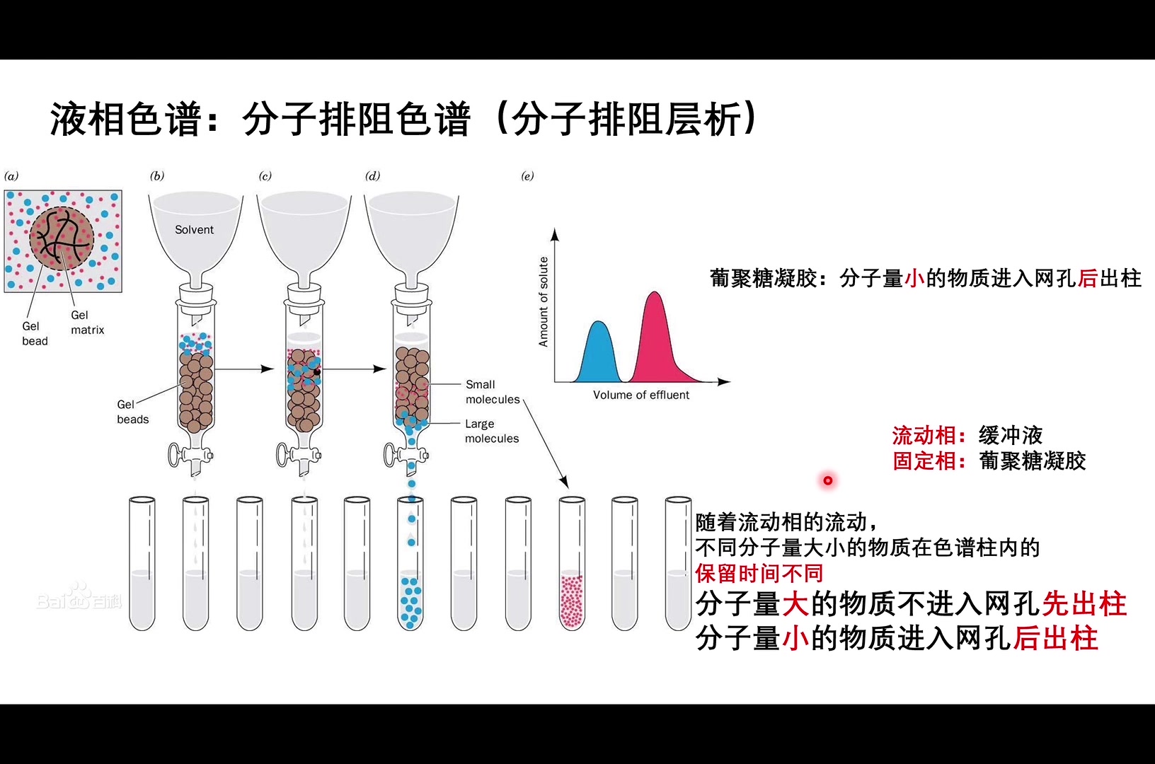 血红蛋白的提取与分离哔哩哔哩bilibili