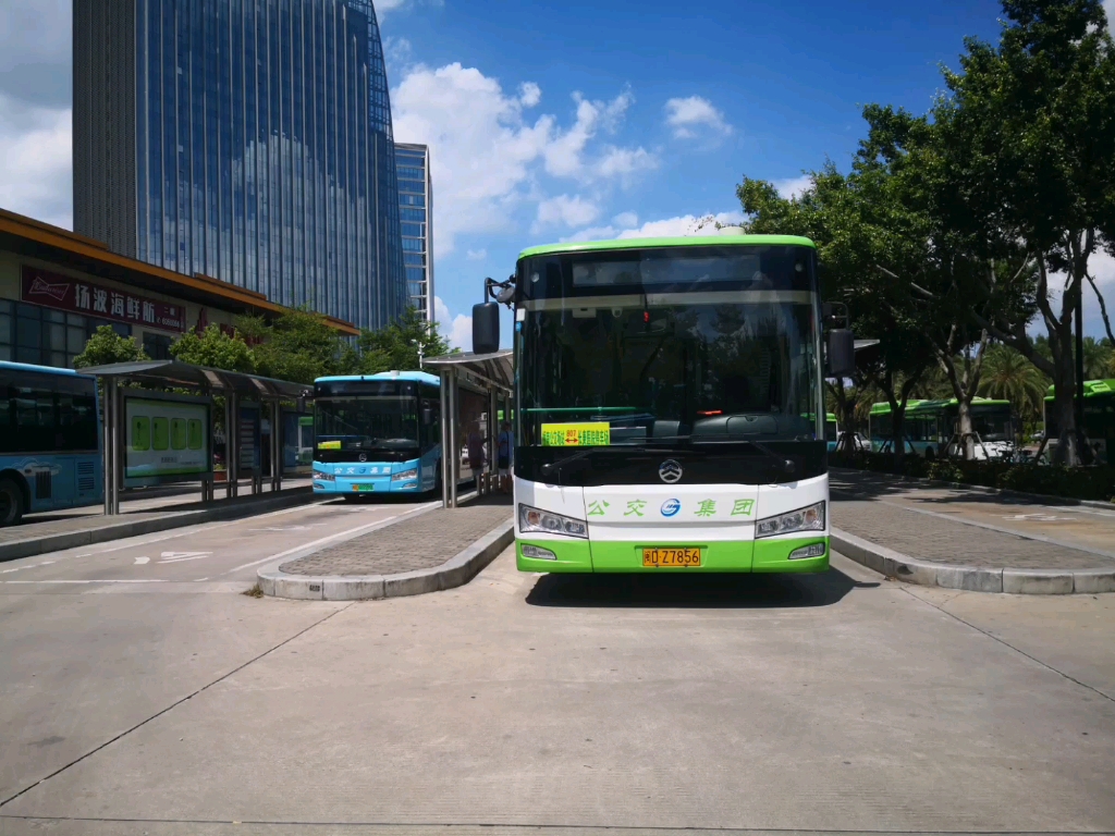 厦门公交807路全程pov(桥南公交场站→长庚医院停车场站)