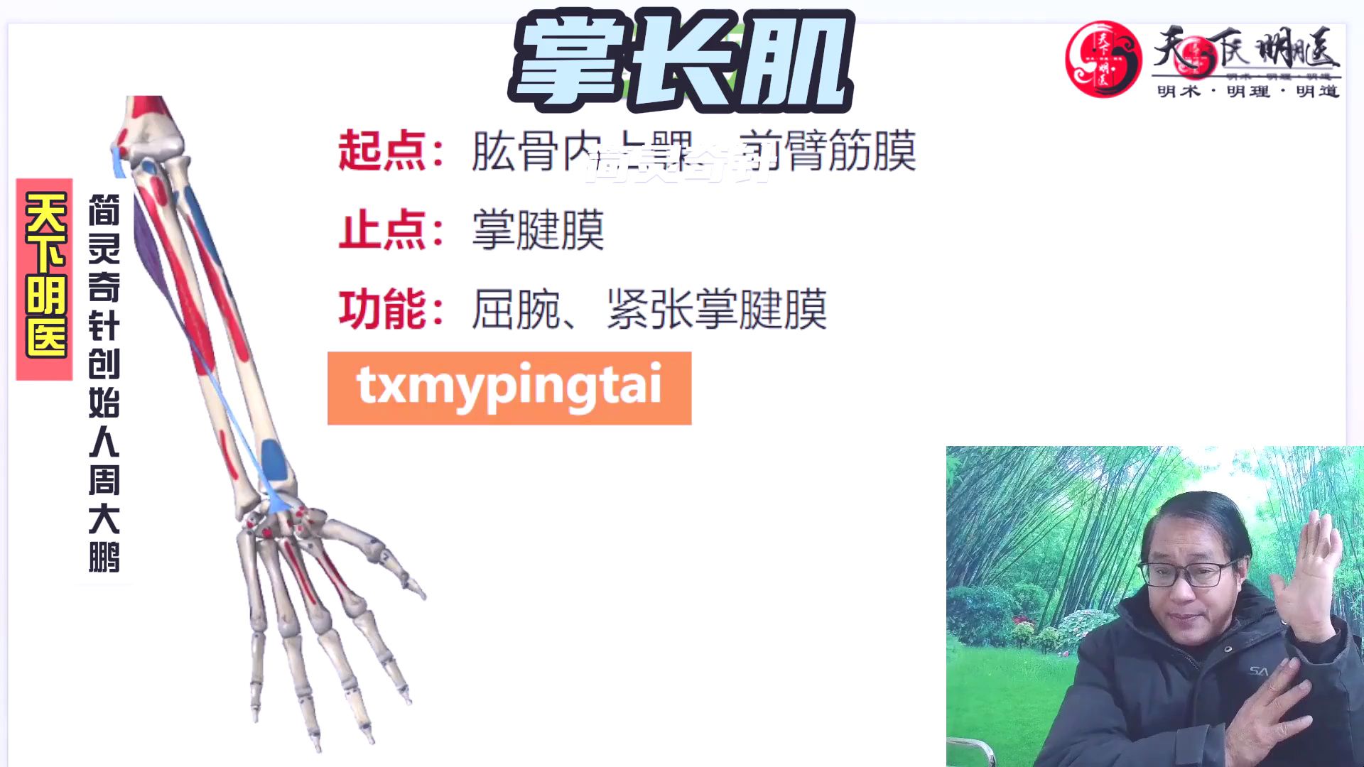 4个方面全方位讲解——天下明医平台简灵奇针