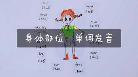 简笔画 身体部位 英语单词 拼读发音 幼小衔接 学习 小学必会 哔哩哔哩 简笔画 身体部位 英语单词 拼读发音 幼小衔接 学习 小学必会 哔哩哔哩