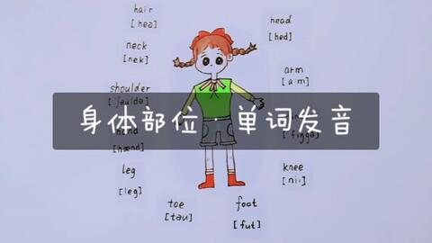 简笔画 身体部位 英语单词 拼读发音 幼小衔接 学习 小学必会 哔哩哔哩