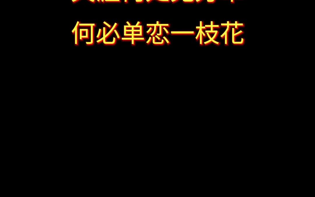 俗语有云:“为一棵树放弃一片树林”、“不可在一棵树上吊死” There are plenty of fish in the sea #学英语 #英语口语#口语天哔哩哔哩bilibili游戏杂谈