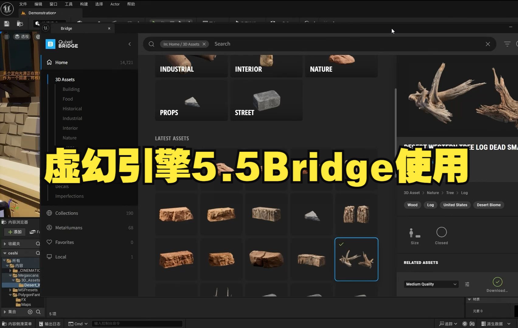 【补充】虚幻引擎5.5正式版Bridge资产库可正常使用哔哩哔哩bilibili